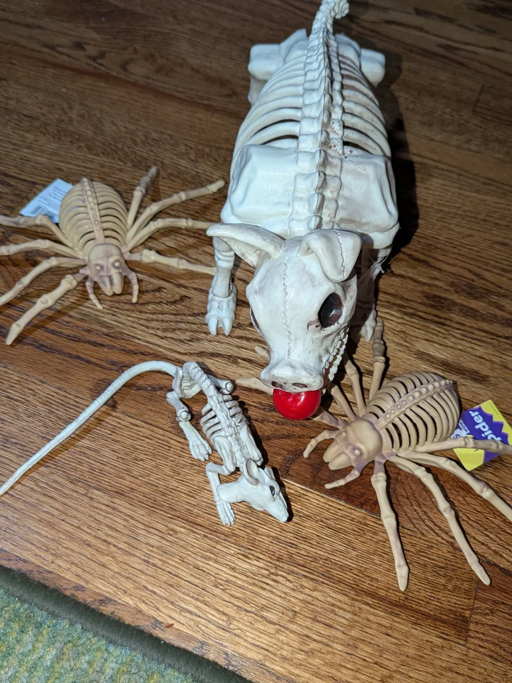 Decorative Reptile Skeleton Dog Toy - Cream with Red Ball + Rat And 2 Spiders